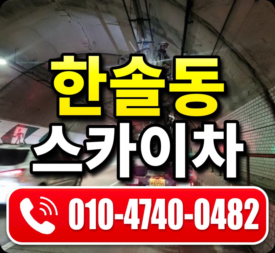 한솔동 스카이차 010-4740-0482