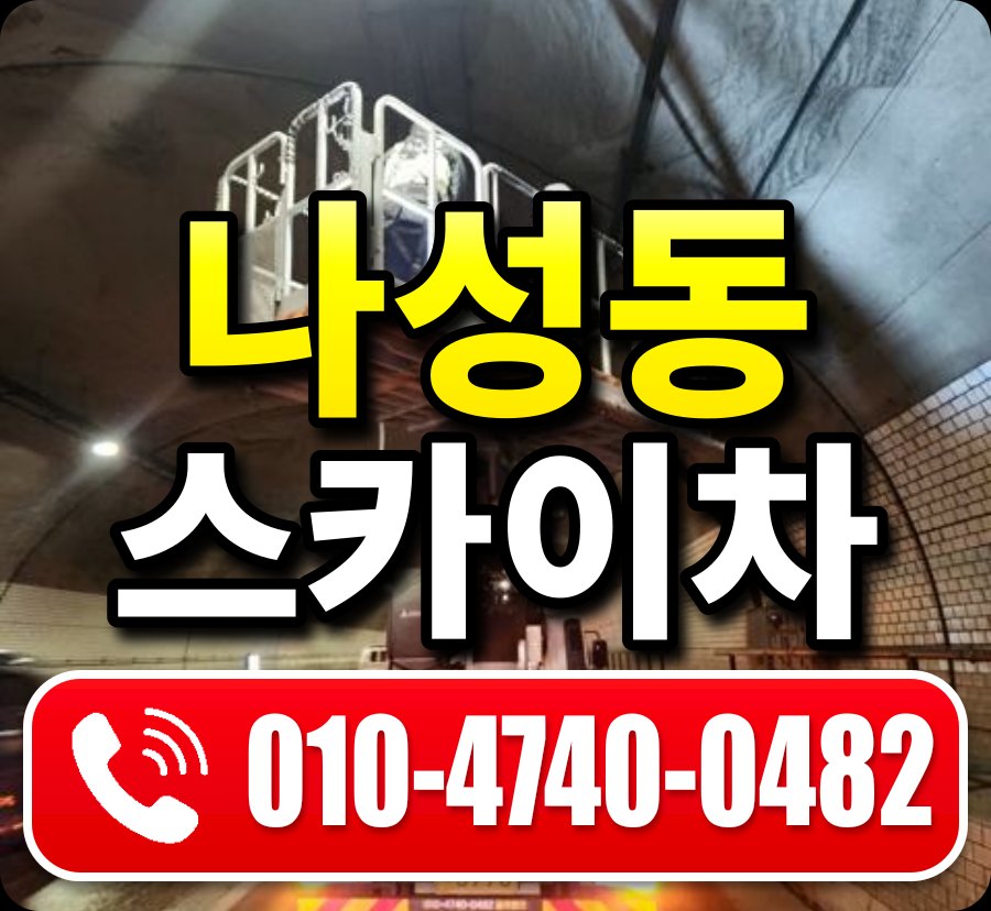 나성동 스카이차 010-4740-0482