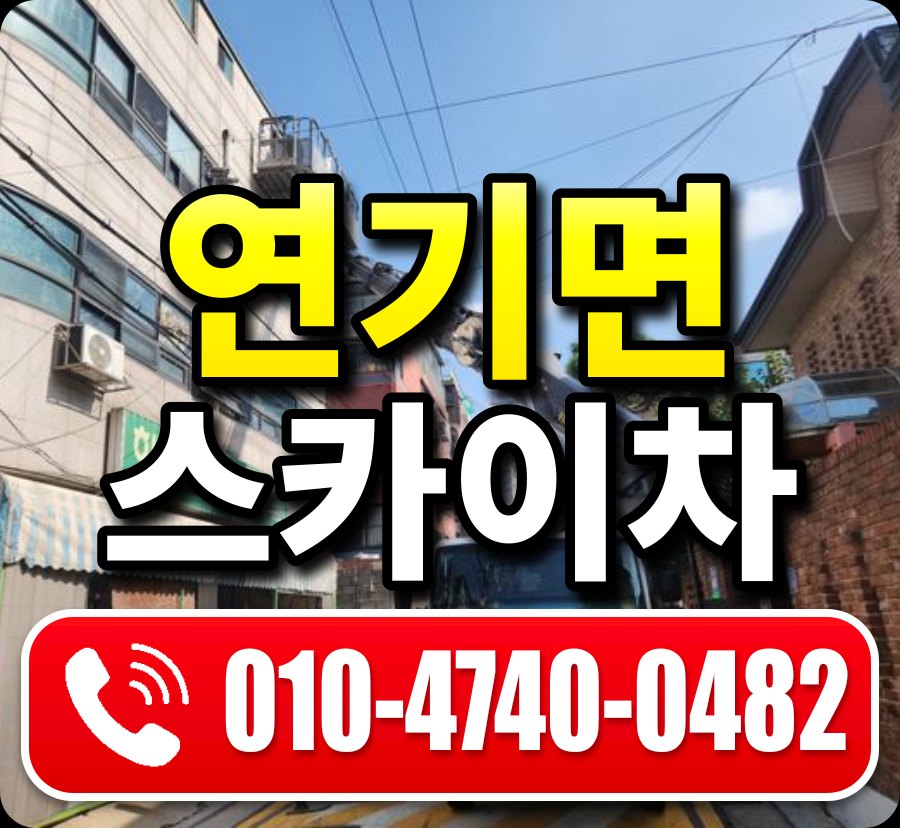 연기면 스카이차 010-4740-0482