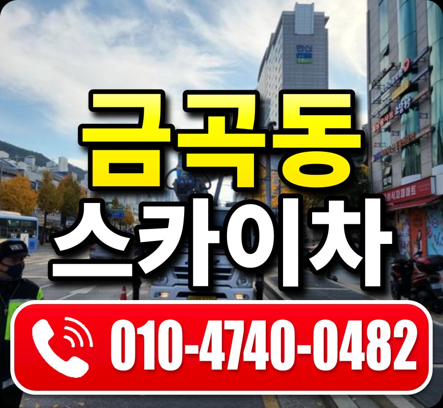 금곡동 스카이차 010-4740-0482