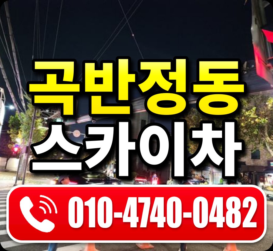 곡반정동 스카이차 010-4740-0482