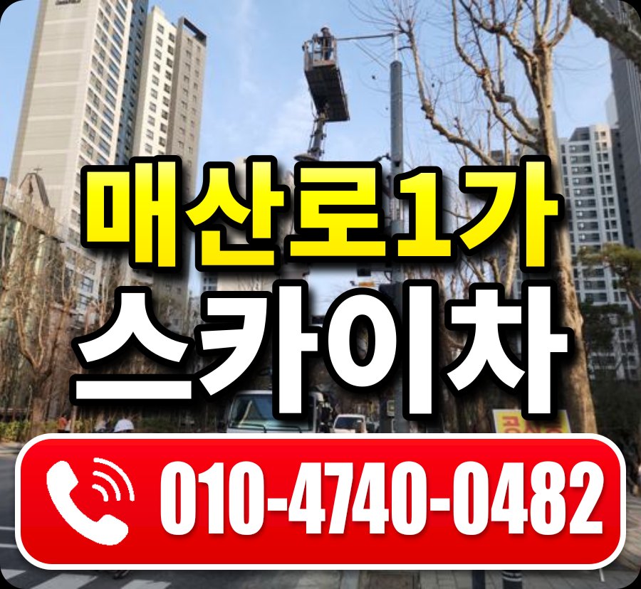 매산로1가 스카이차 010-4740-0482