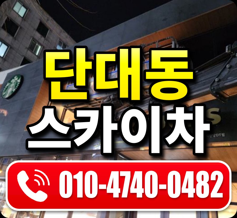 단대동 스카이차 010-4740-0482