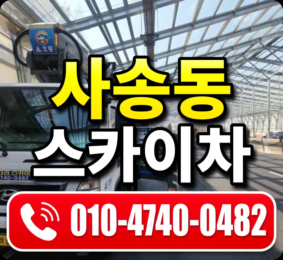 사송동 스카이차 010-4740-0482