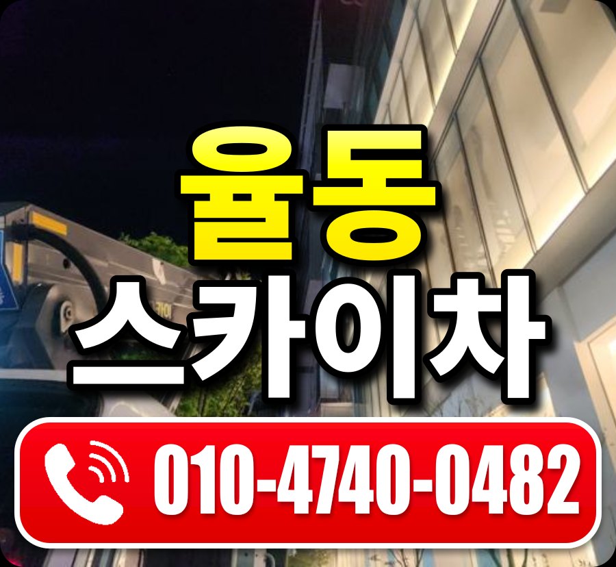 율동 스카이차 010-4740-0482