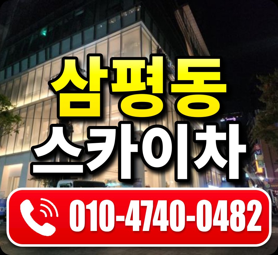 삼평동 스카이차 010-4740-0482