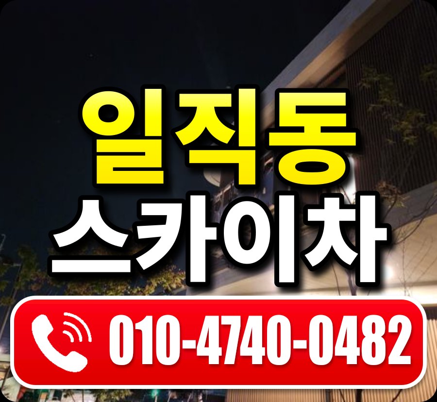 일직동 스카이차 010-4740-0482