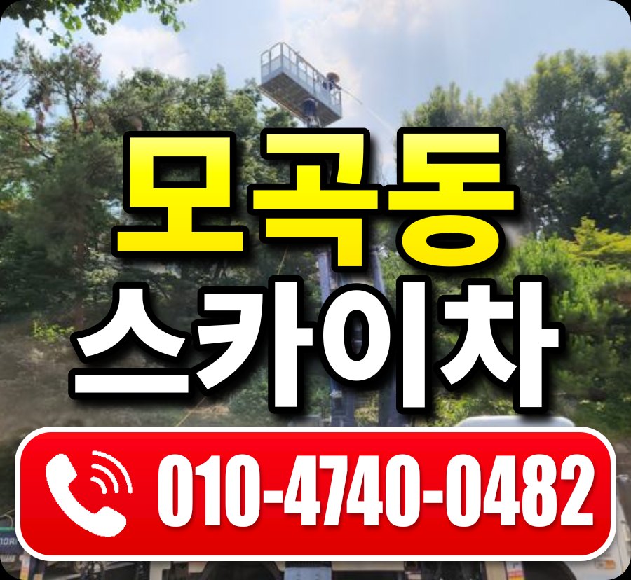 모곡동 스카이차 010-4740-0482