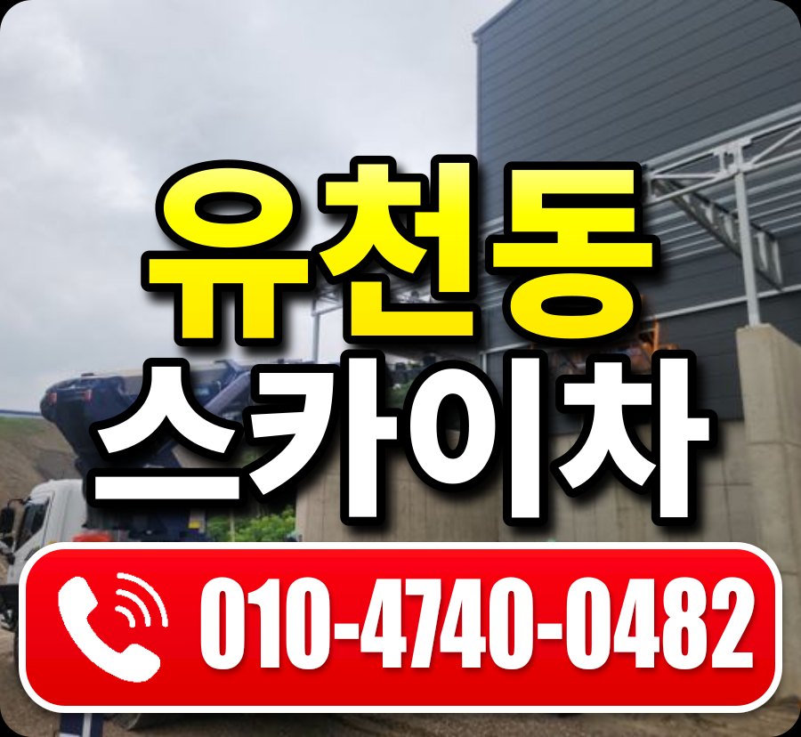유천동 스카이차 010-4740-0482