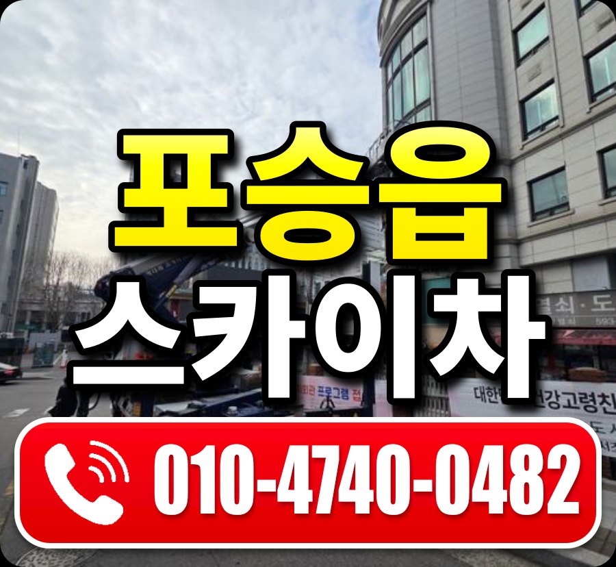 포승읍 스카이차 010-4740-0482
