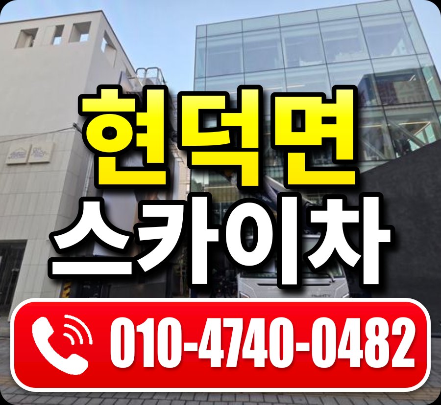 현덕면 스카이차 010-4740-0482