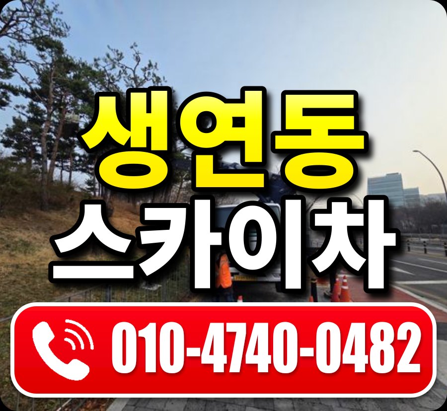 생연동 스카이차 010-4740-0482