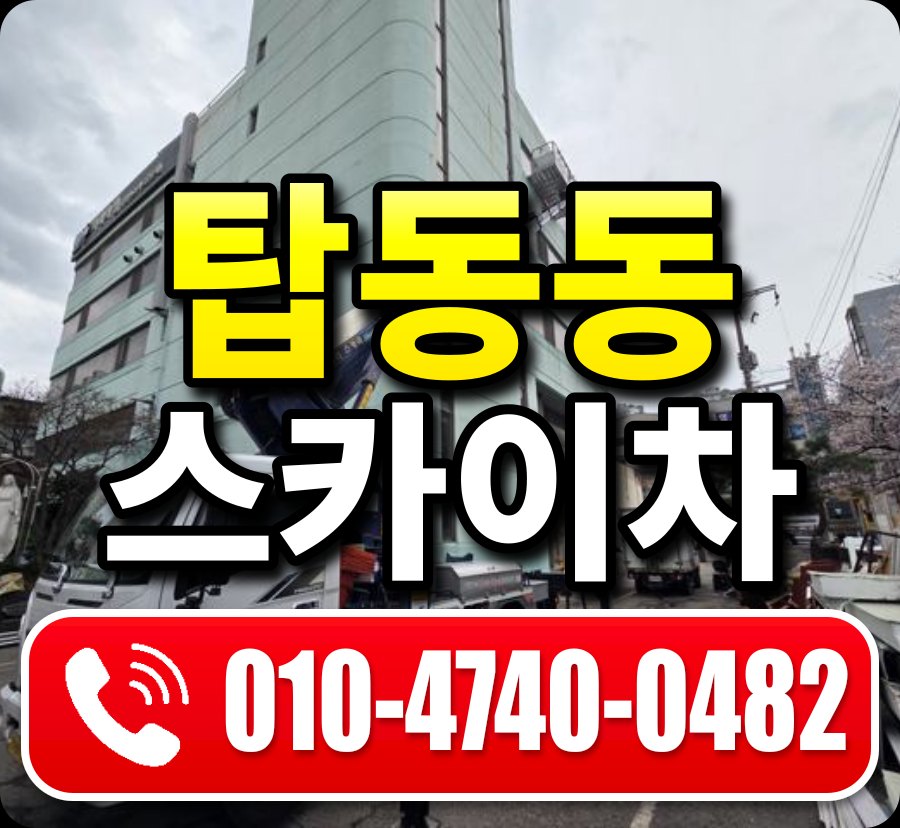 탑동동 스카이차 010-4740-0482