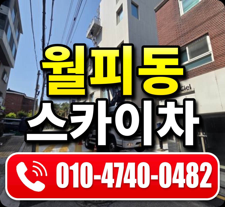 월피동 스카이차 010-4740-0482