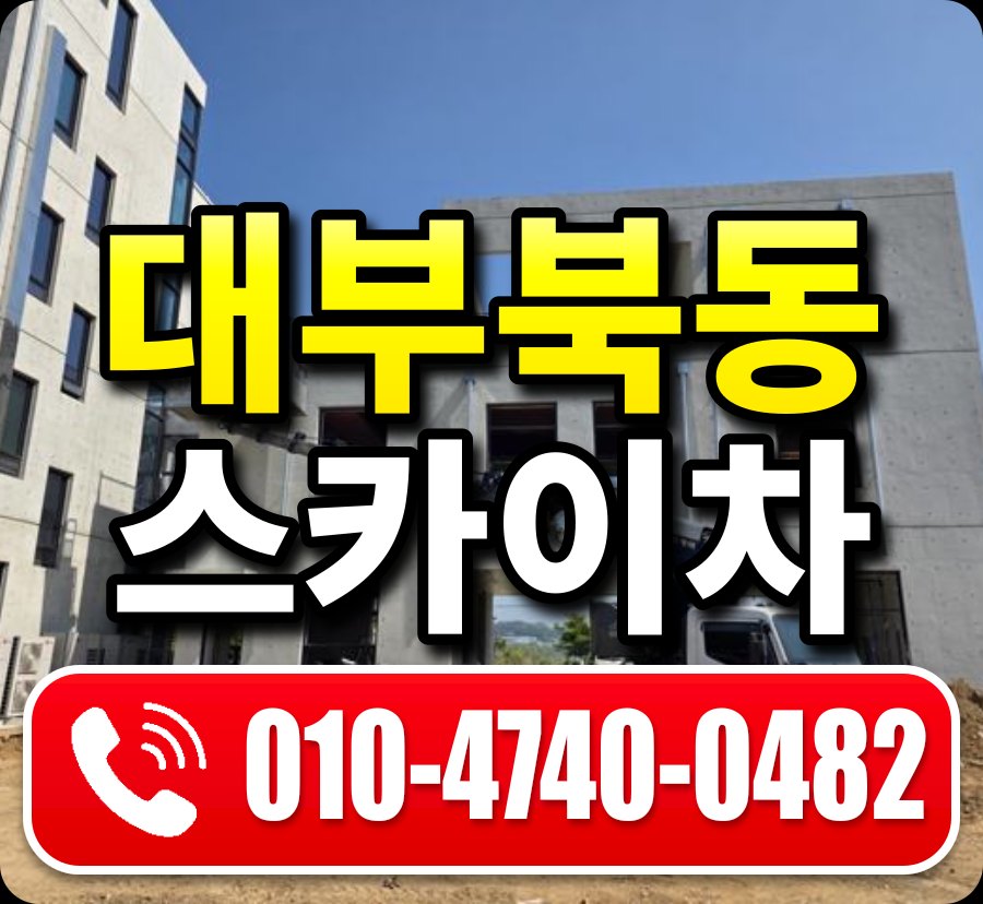 대부북동 스카이차 010-4740-0482