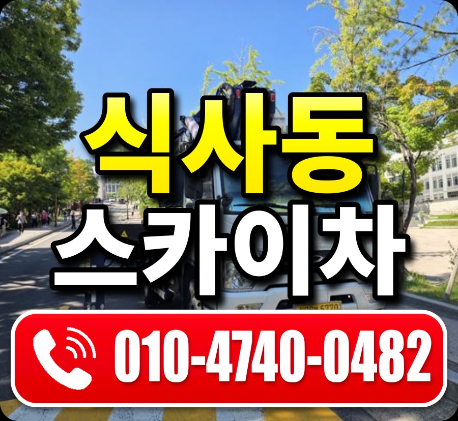 식사동 스카이차 010-4740-0482