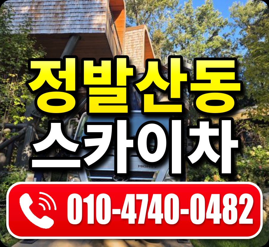 정발산동 스카이차 010-4740-0482