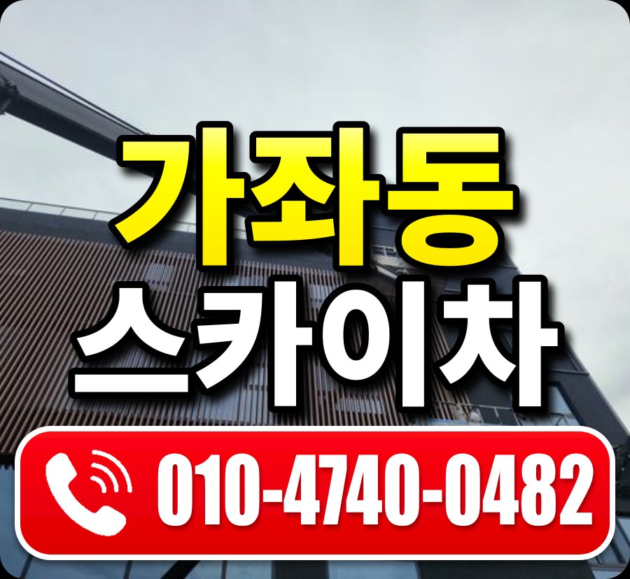 가좌동 스카이차 010-4740-0482