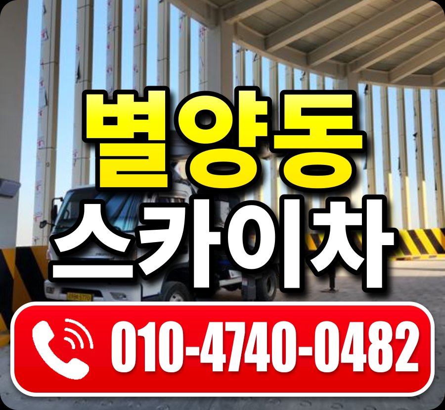 별양동 스카이차 010-4740-0482