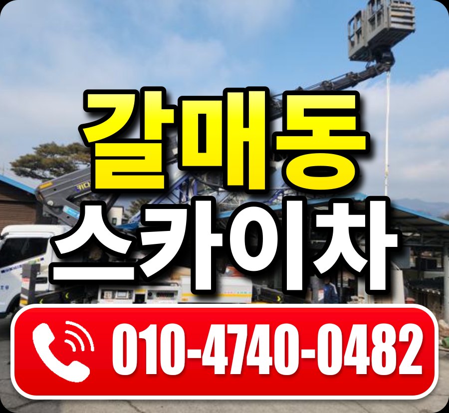 갈매동 스카이차 010-4740-0482