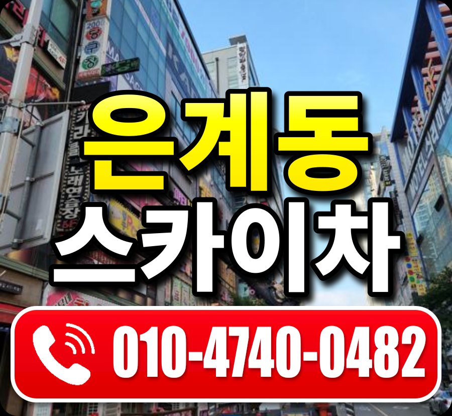 은계동 스카이차 010-4740-0482