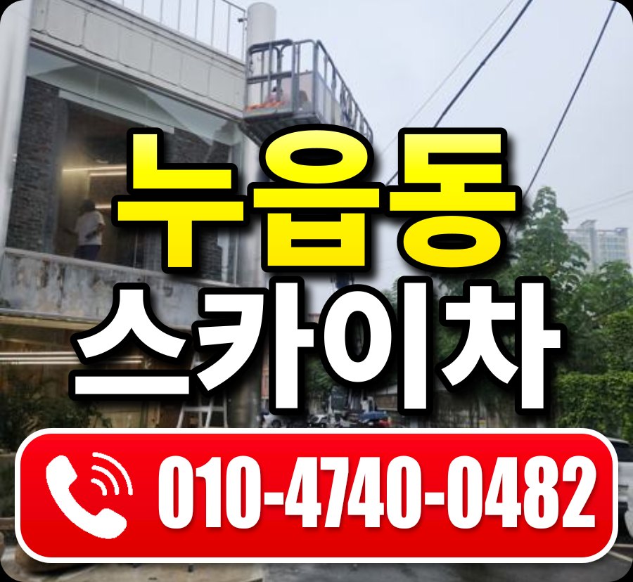 누읍동 스카이차 010-4740-0482
