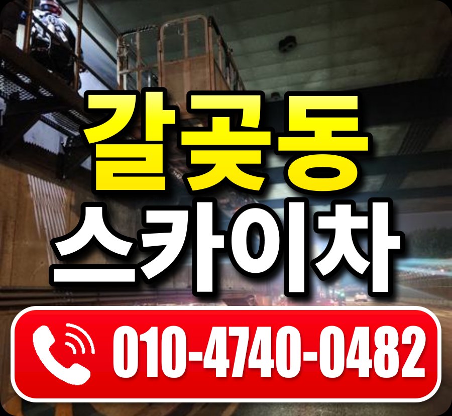 갈곶동 스카이차 010-4740-0482