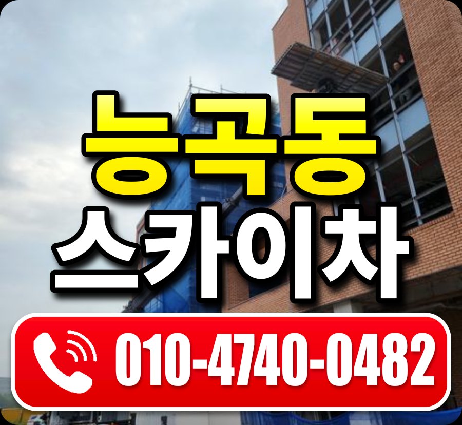 능곡동 스카이차 010-4740-0482