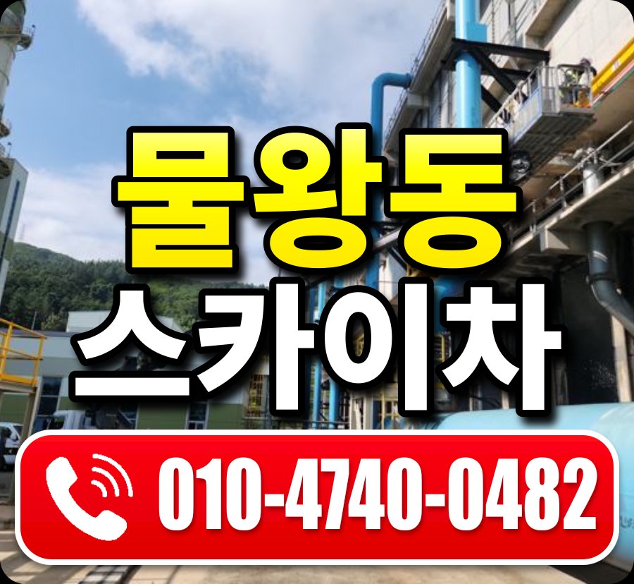 물왕동 스카이차 010-4740-0482