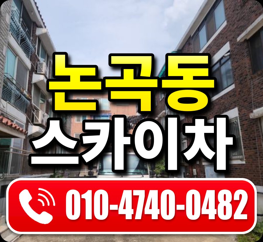 논곡동 스카이차 010-4740-0482