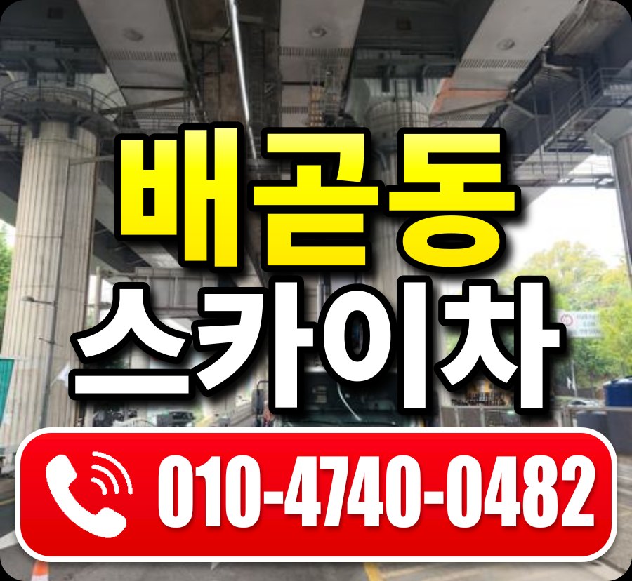 배곧동 스카이차 010-4740-0482
