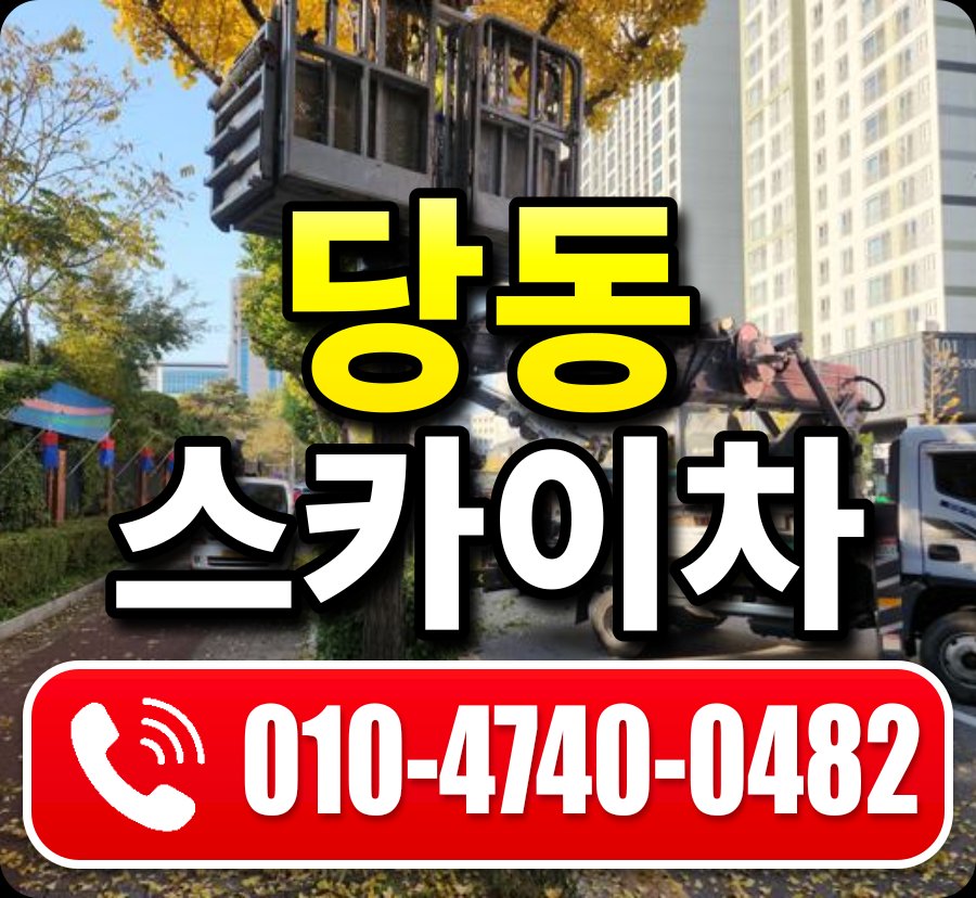 당동 스카이차 010-4740-0482