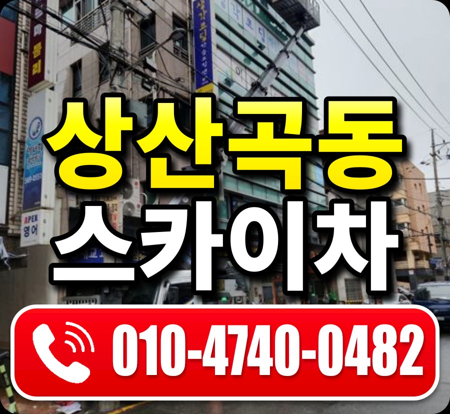 상산곡동 스카이차 010-4740-0482