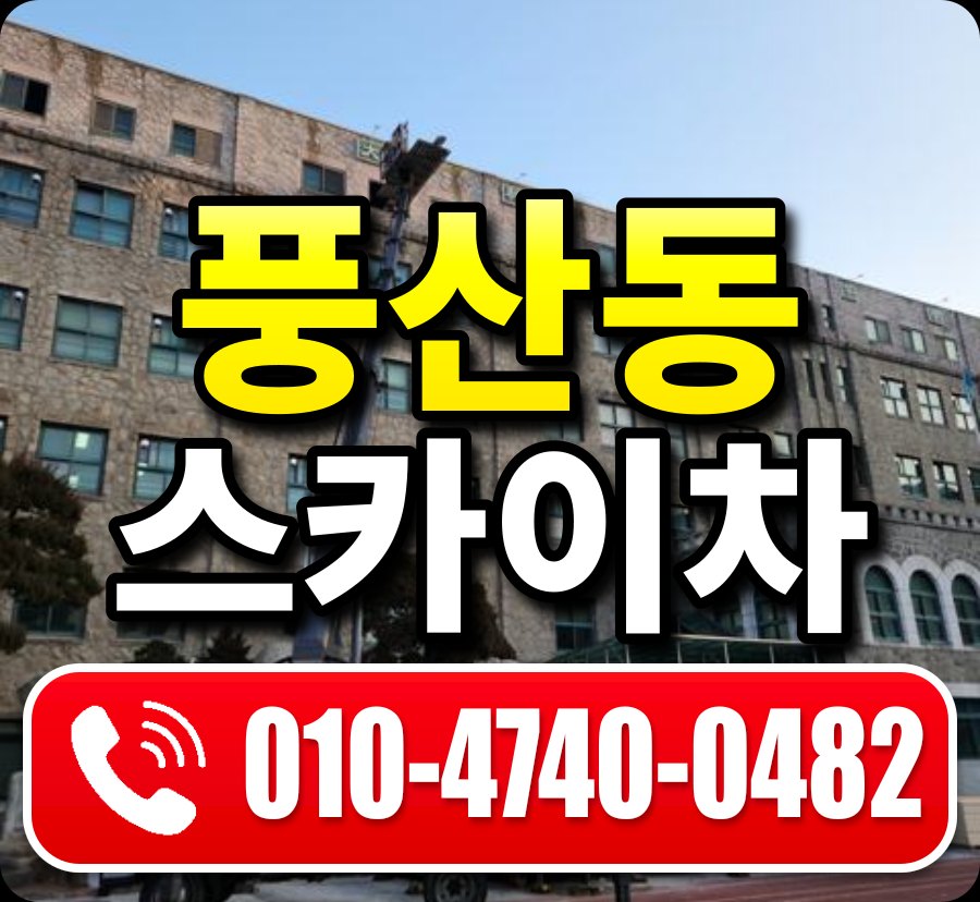 풍산동 스카이차 010-4740-0482