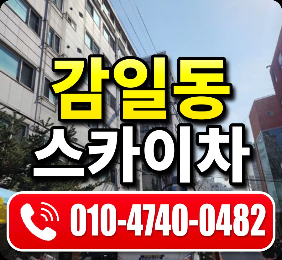감일동 스카이차 010-4740-0482