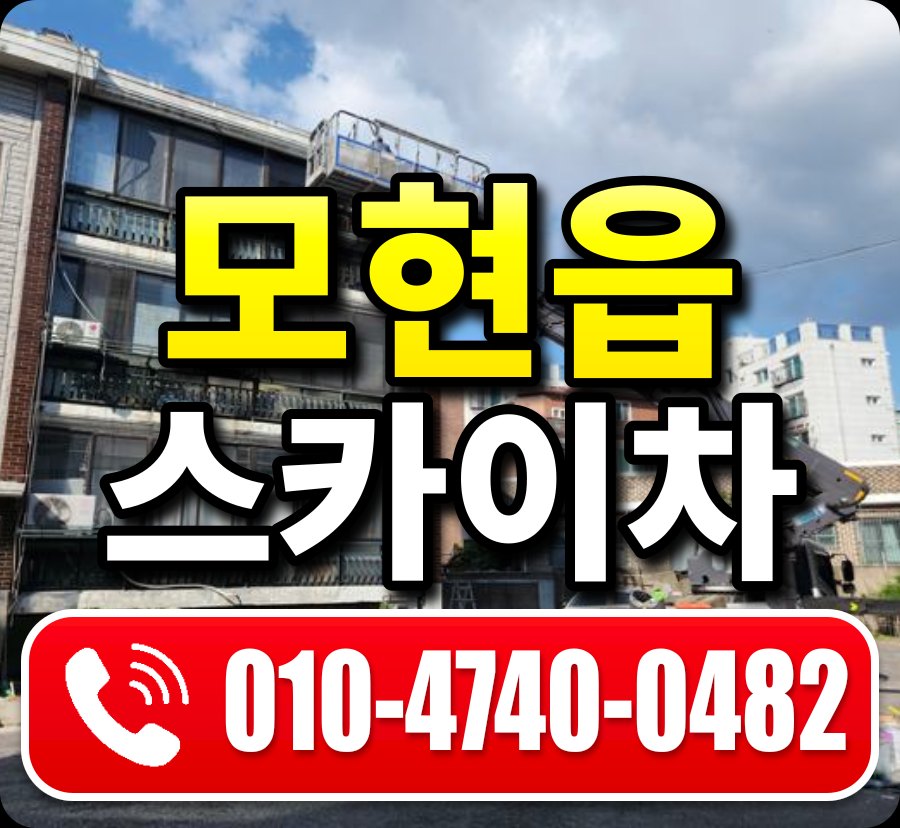 모현읍 스카이차 010-4740-0482