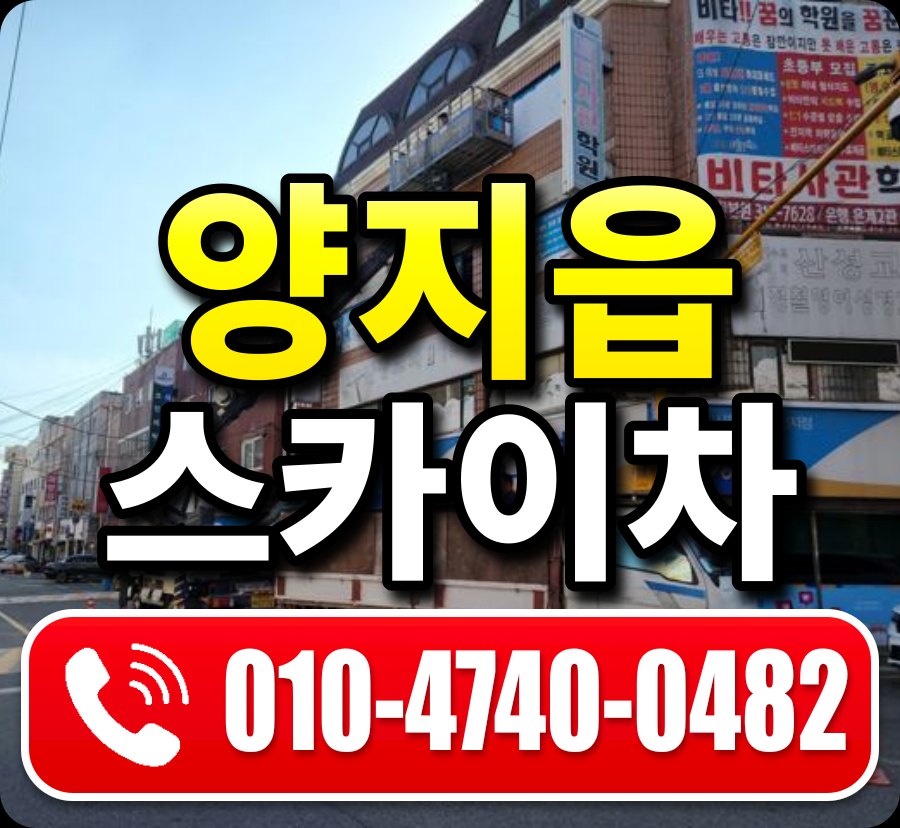 양지읍 스카이차 010-4740-0482