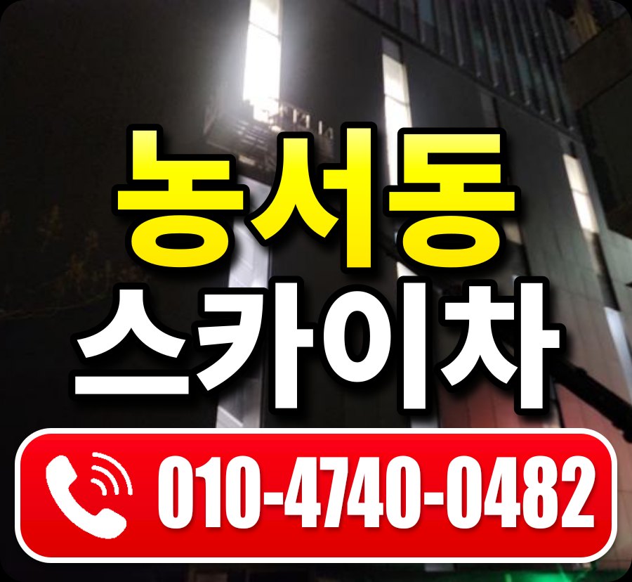 농서동 스카이차 010-4740-0482