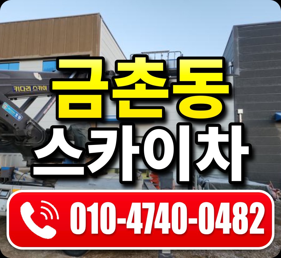 금촌동 스카이차 010-4740-0482