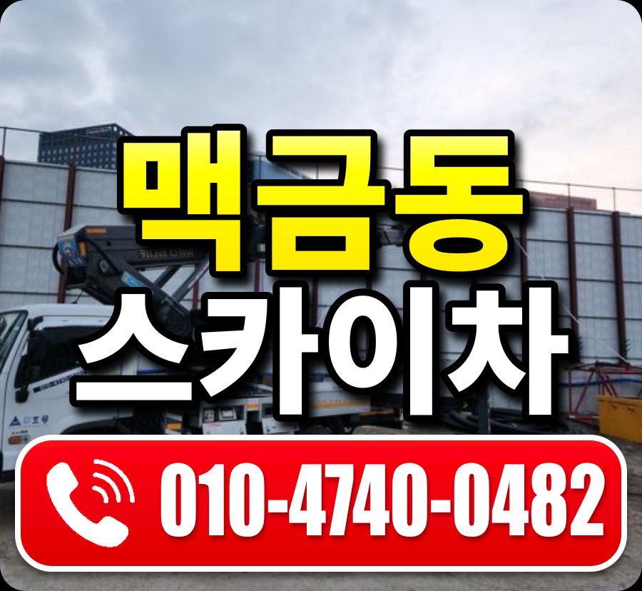 맥금동 스카이차 010-4740-0482