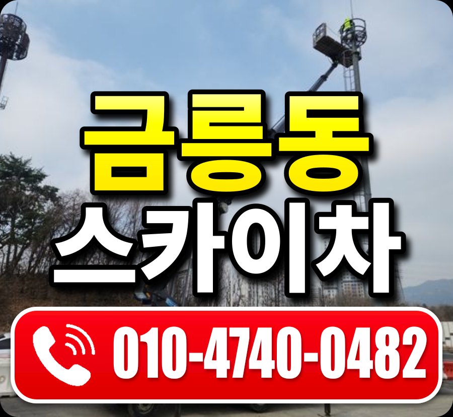 금릉동 스카이차 010-4740-0482