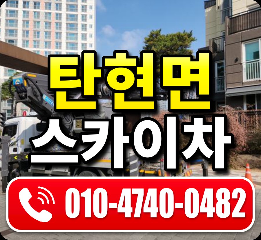 탄현면 스카이차 010-4740-0482