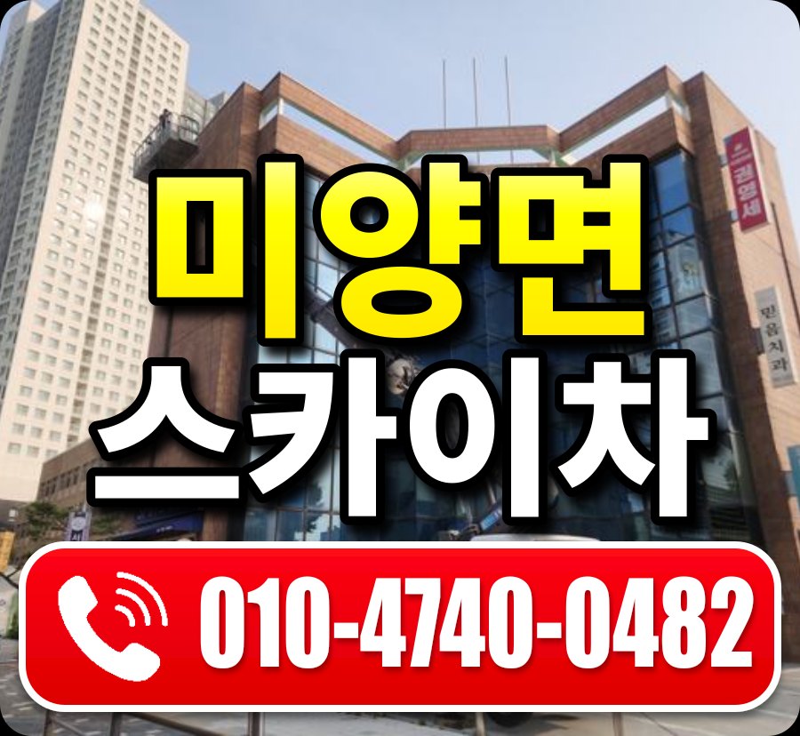 미양면 스카이차 010-4740-0482