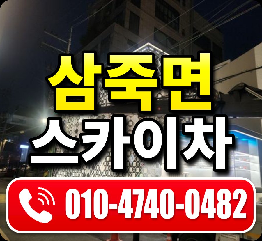 삼죽면 스카이차 010-4740-0482