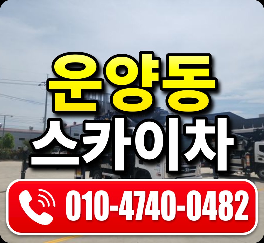 운양동 스카이차 010-4740-0482