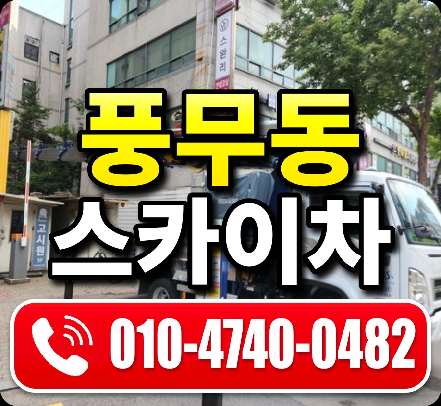 풍무동 스카이차 010-4740-0482