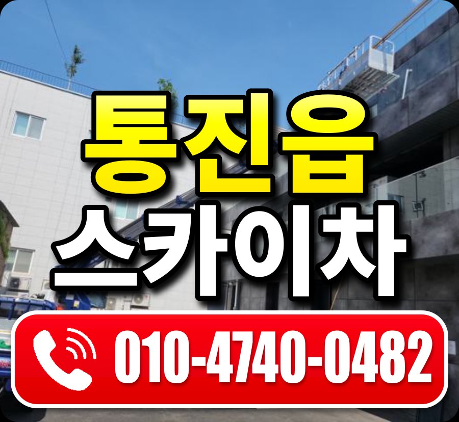 통진읍 스카이차 010-4740-0482