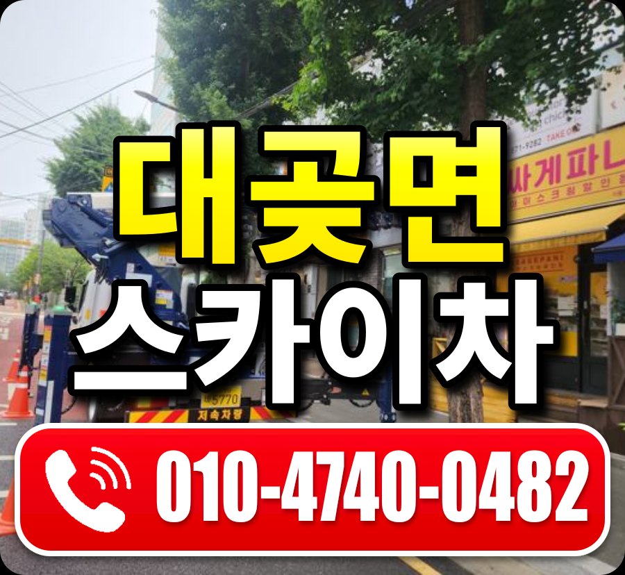 대곶면 스카이차 010-4740-0482