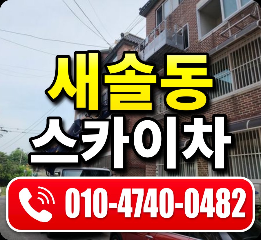 새솔동 스카이차 010-4740-0482