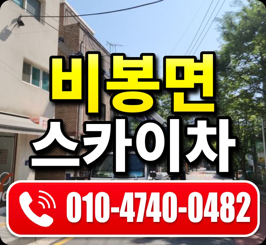 비봉면 스카이차 010-4740-0482